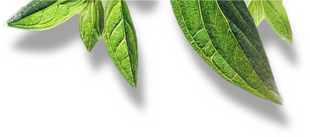 Dropping PNG