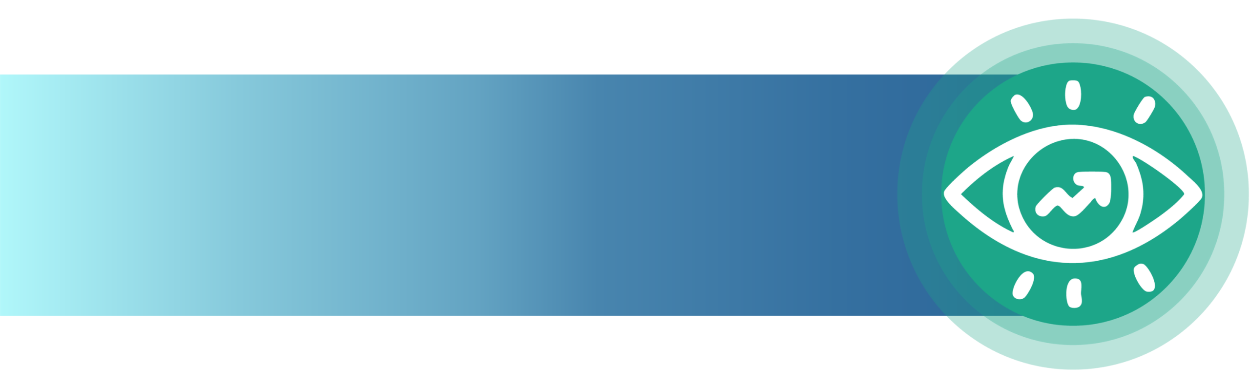 Vision Image